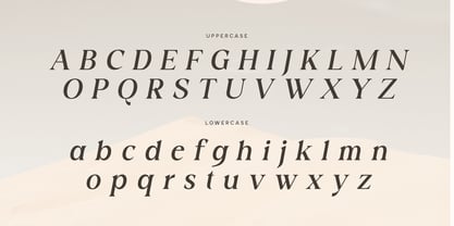 SS Bagera Font Poster 13