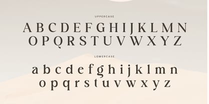 SS Bagera Font Poster 10