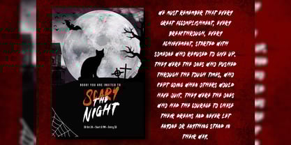 Naxrsoul Cather Font Poster 14