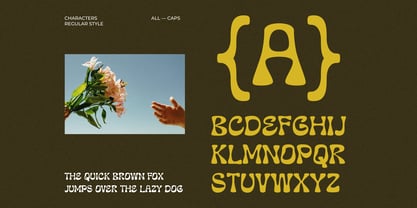 Blubwy Font Poster 10