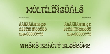 Blubwy Font Poster 6