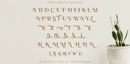 Alice Fairy Font Poster 7