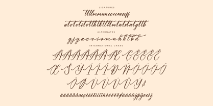 Amalfina Shinndy Font Poster 8