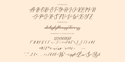 Amalfina Shinndy Font Poster 7
