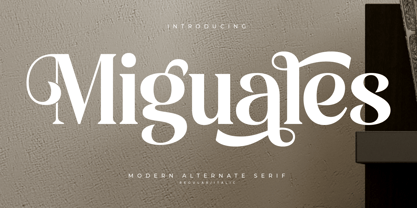 Miguales Font Poster 1