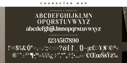 Miguales Font Poster 7