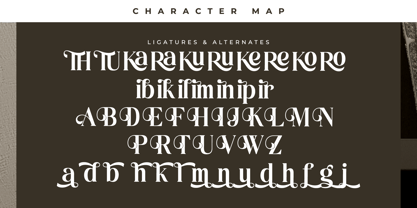 Miguales Font Poster 8