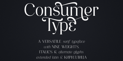 Consumer Type Font Poster 1