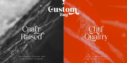 Consumer Type Font Poster 3