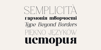 Consumer Type Font Poster 5