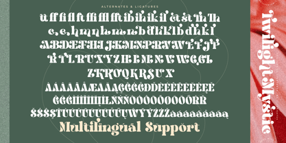 Twilight Mystic Font Poster 15