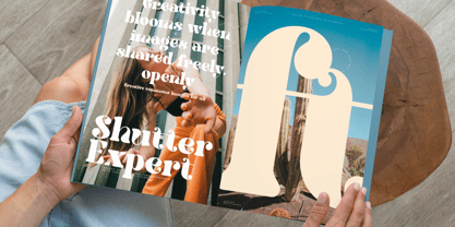 Twilight Mystic Font Poster 10