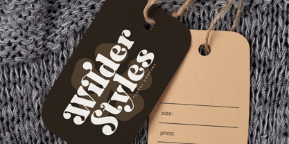 Twilight Mystic Font Poster 2