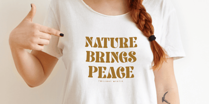 Twilight Mystic Font Poster 3