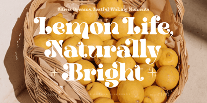 Twilight Mystic Font Poster 12