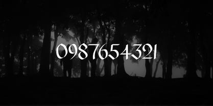 Wolves at Vespers Font Poster 4