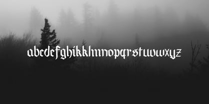 Wolves at Vespers Font Poster 5