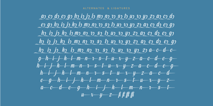 Kameli Antares Font Poster 14