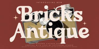 Bricks Antique Font Poster 1