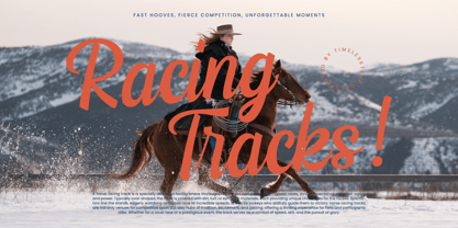 Finland Font Poster 13