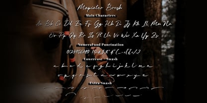 Jan Satipo Brush Font Poster 7