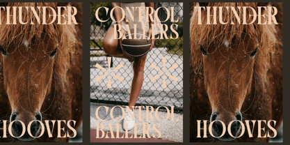 Qulight Font Poster 13