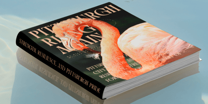 Qulight Font Poster 6