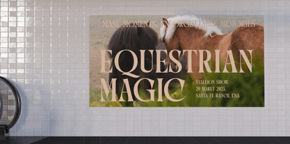 Qulight Font Poster 5