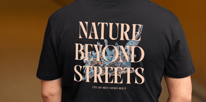 Qulight Font Poster 8