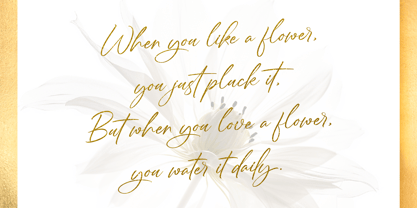 Grading Royal Font Poster 2