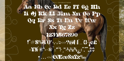 Bright Films Font Poster 15