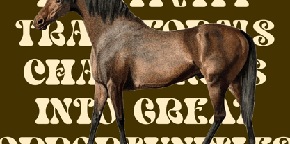 Bright Films Font Poster 9