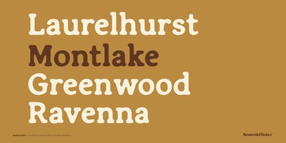 Northlake Font Poster 9