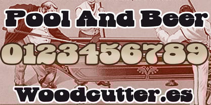 Pool And Beer Font Poster 6