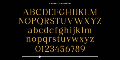 Monlight serif Font Poster 5