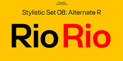 PT Schimetrik Font Poster 14