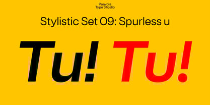 PT Schimetrik Font Poster 15