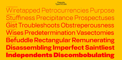 PT Schimetrik Font Poster 5