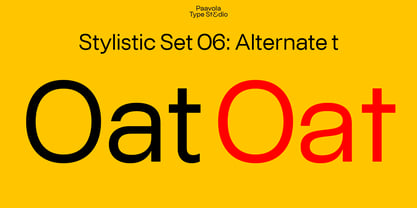 PT Schimetrik Font Poster 12