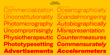 PT Schimetrik Font Poster 3