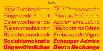 PT Schimetrik Font Poster 4