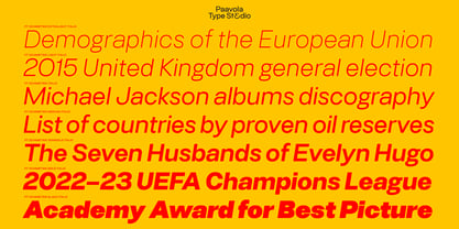 PT Schimetrik Font Poster 6