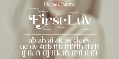 Buckbrush Font Poster 11
