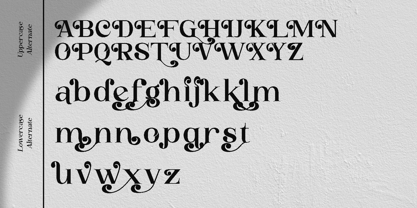 Buckbrush Font Poster 10