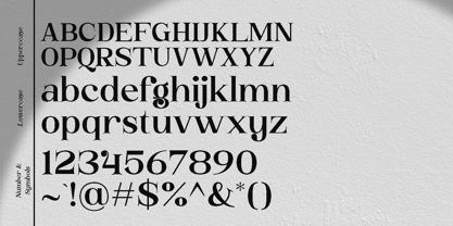 Buckbrush Font Poster 9