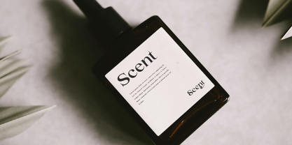 Buckbrush Font Poster 4