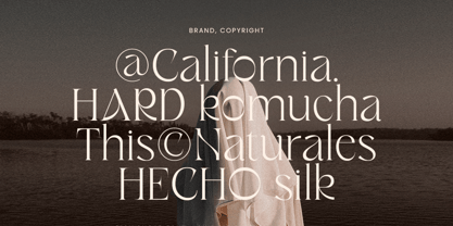 Rich Sugar SS Font Poster 8