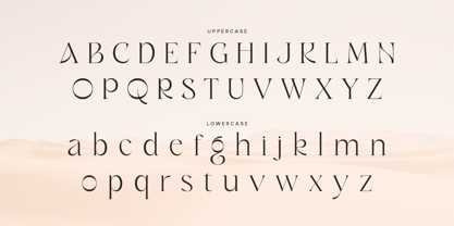 Rich Sugar SS Font Poster 10