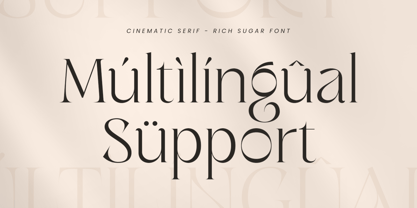 Rich Sugar SS Font Poster 12