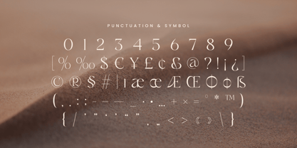 Rich Sugar SS Font Poster 11